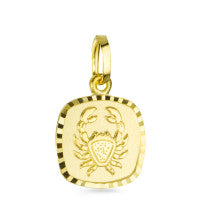 Anhänger Sternzeichen/Schutzengel Gelbgold 375